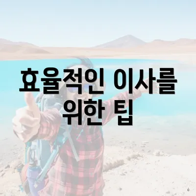 효율적인 이사를 위한 팁