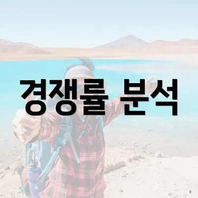 경쟁률 분석