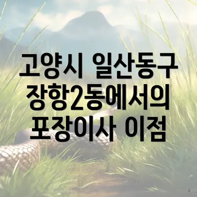 고양시 일산동구 장항2동에서의 포장이사 이점