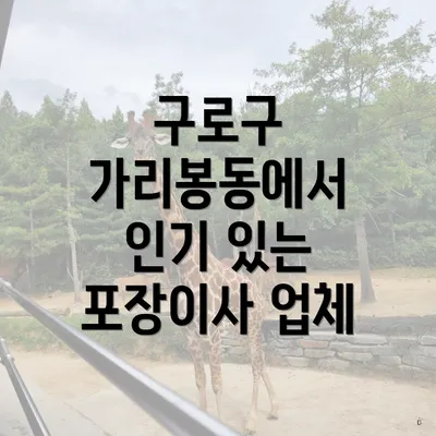 구로구 가리봉동에서 인기 있는 포장이사 업체