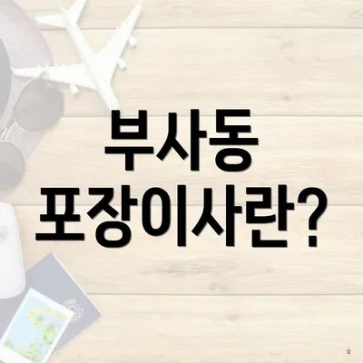 부사동 포장이사란?