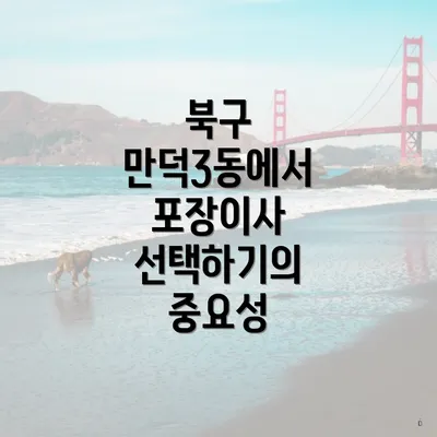 북구 만덕3동에서 포장이사 선택하기의 중요성