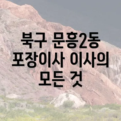 북구 문흥2동 포장이사 이사의 모든 것