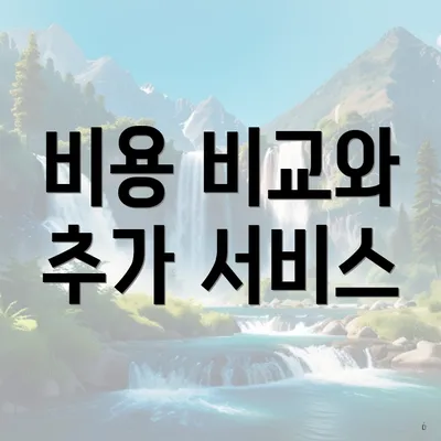 비용 비교와 추가 서비스