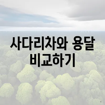 사다리차와 용달 비교하기