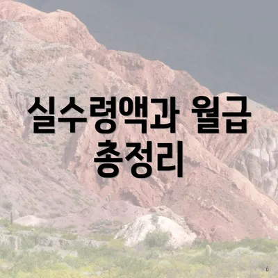 실수령액과 월급 총정리