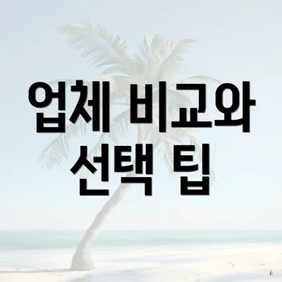 업체 비교와 선택 팁