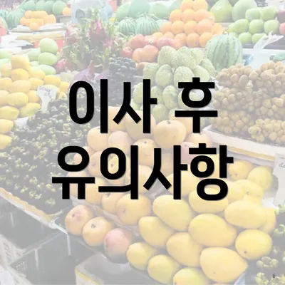 이사 후 유의사항