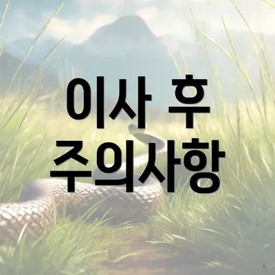 이사 후 주의사항