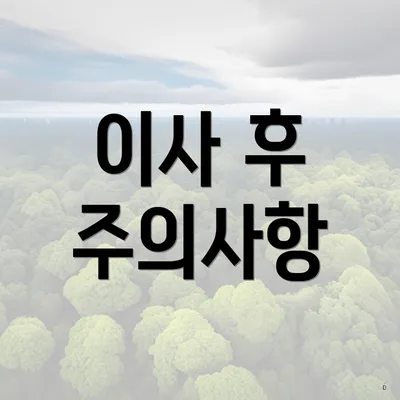 이사 후 주의사항