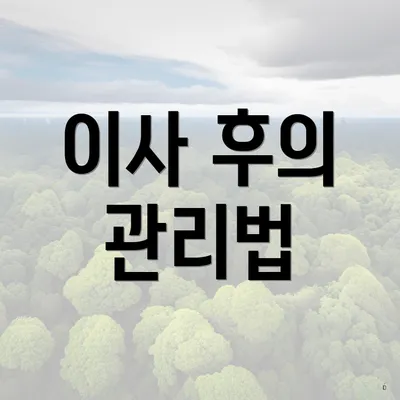 이사 후의 관리법