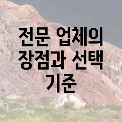 전문 업체의 장점과 선택 기준