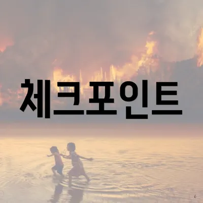 체크포인트