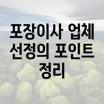 포장이사 업체 선정의 포인트 정리