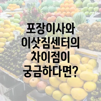 포장이사와 이삿짐센터의 차이점이 궁금하다면?
