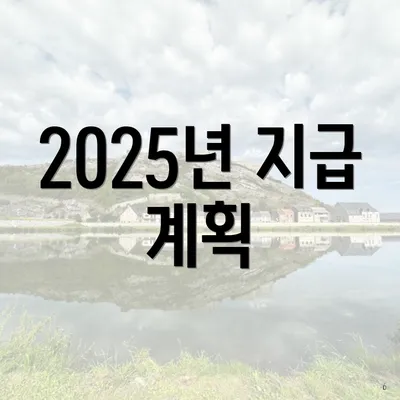 2025년 지급 계획
