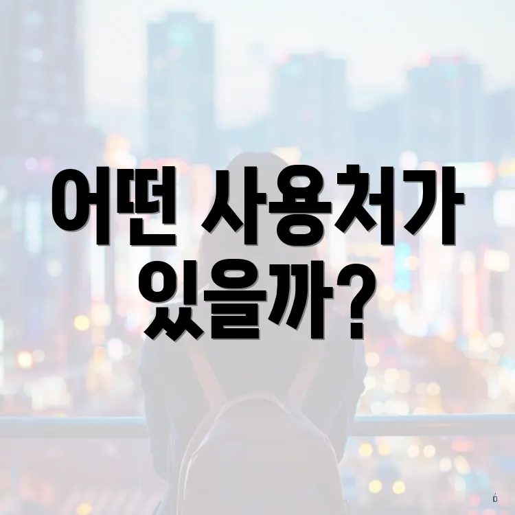 어떤 사용처가 있을까?