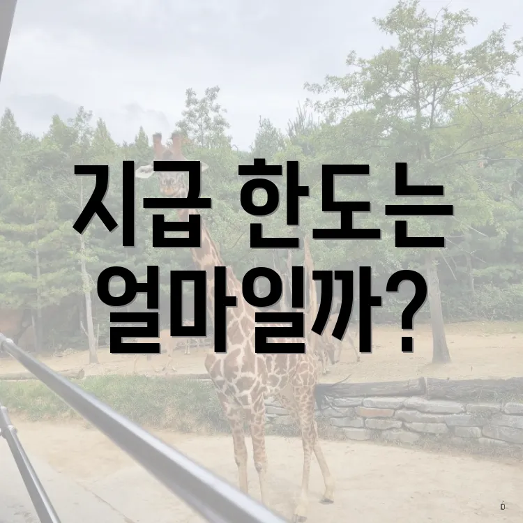 지급 한도는 얼마일까?