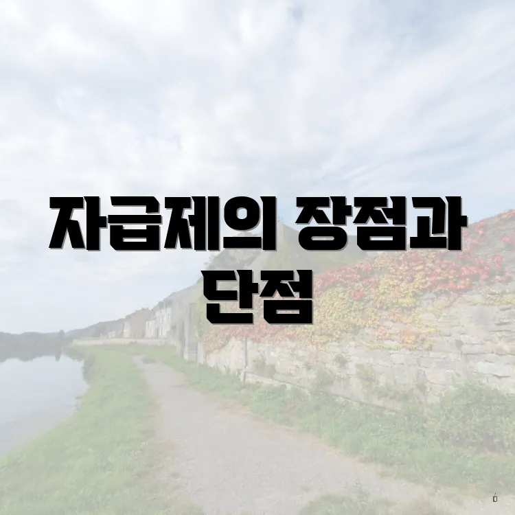 자급제의 장점과 단점