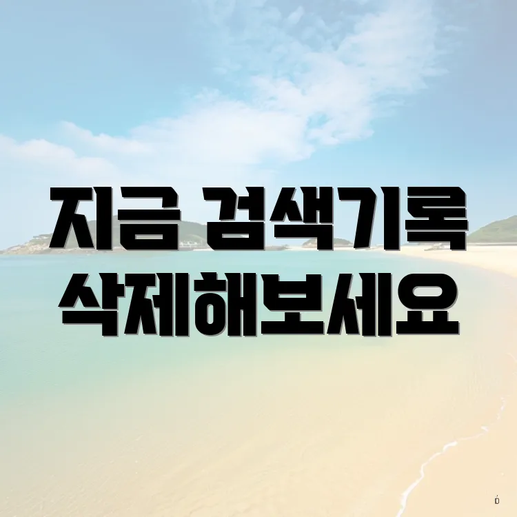지금 검색기록 삭제해보세요