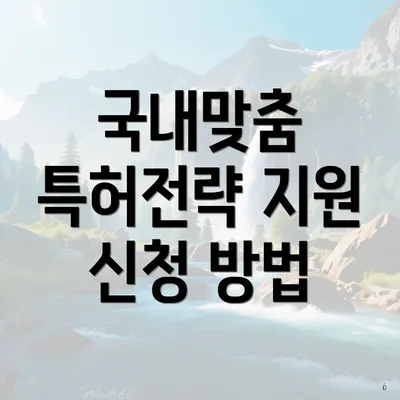 국내맞춤 특허전략 지원 신청 방법