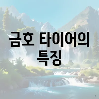 금호 타이어의 특징