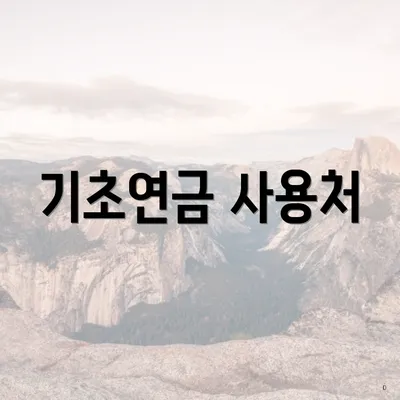 기초연금 사용처