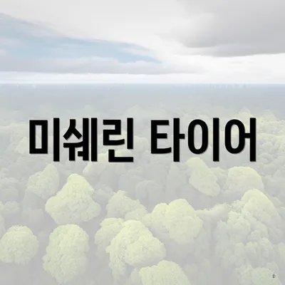 미쉐린 타이어