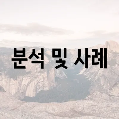 분석 및 사례