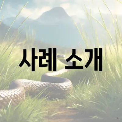 사례 소개