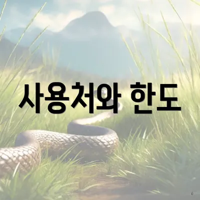 사용처와 한도