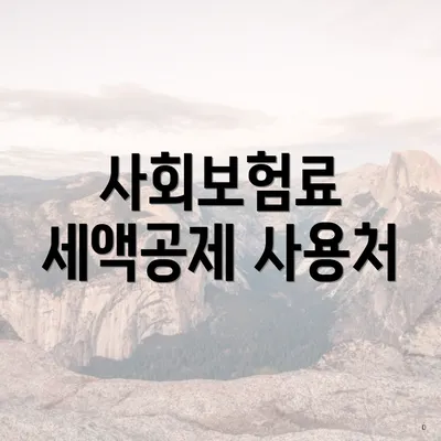 사회보험료 세액공제 사용처