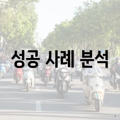 성공 사례 분석