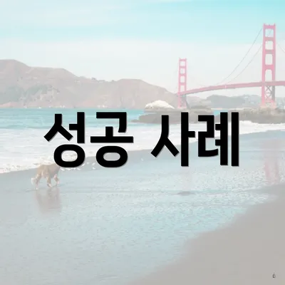 성공 사례