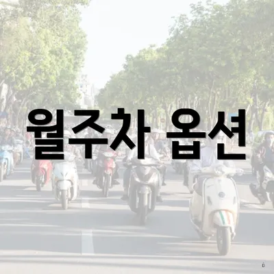 월주차 옵션