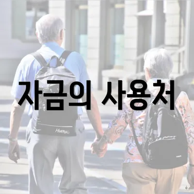 자금의 사용처