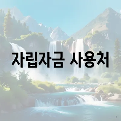 자립자금 사용처