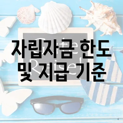 자립자금 한도 및 지급 기준