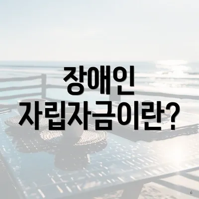 장애인 자립자금이란?
