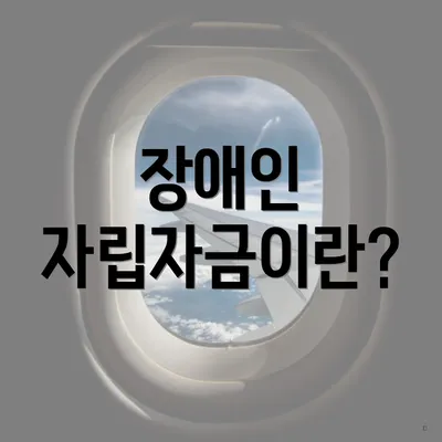 장애인 자립자금이란?