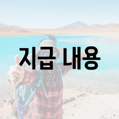 지급 내용