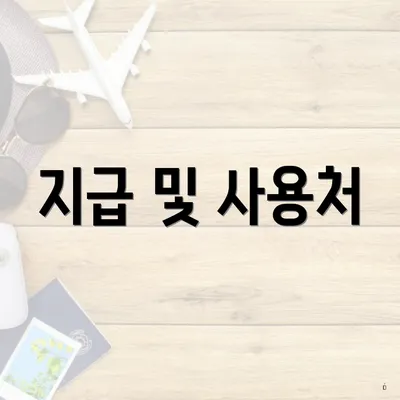 지급 및 사용처