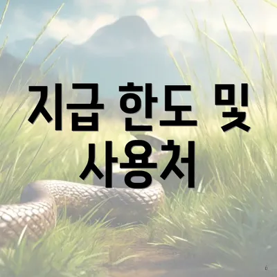 지급 한도 및 사용처