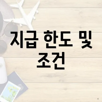 지급 한도 및 조건