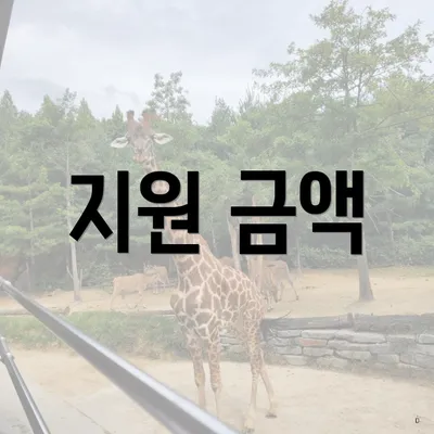 지원 금액