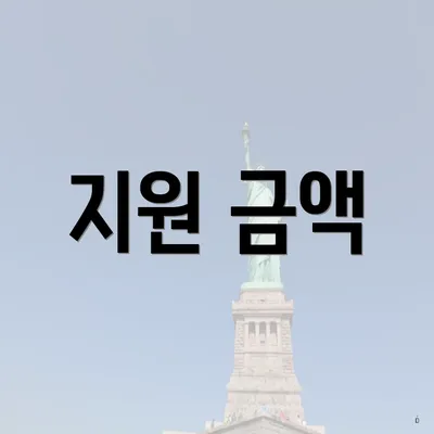 지원 금액
