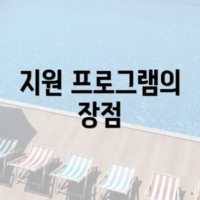 지원 프로그램의 장점
