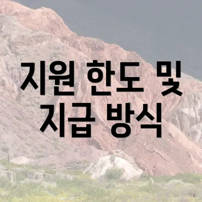 지원 한도 및 지급 방식