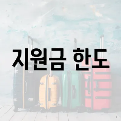 지원금 한도