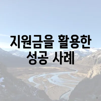지원금을 활용한 성공 사례